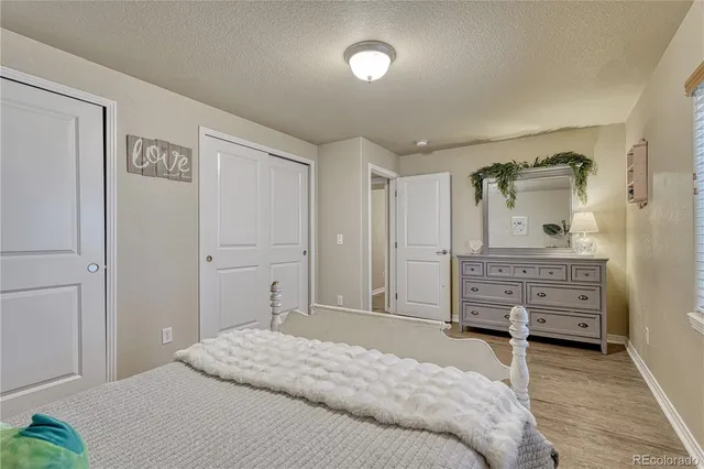 a view of a yard with big fountain plants and large trees