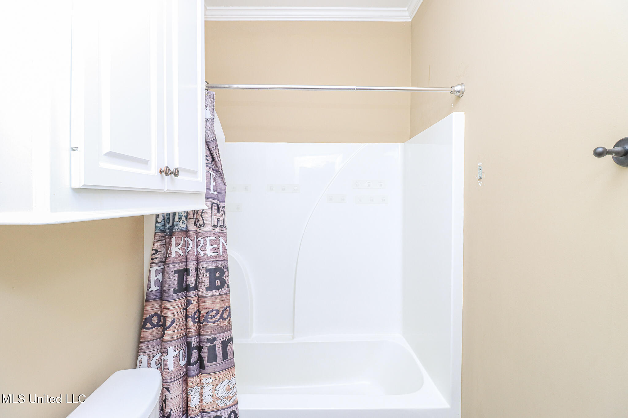 302 Alicetowne Landing Brandon, MS 39047 - Photo 8 of 40 302 Alicetowne Lnding 9