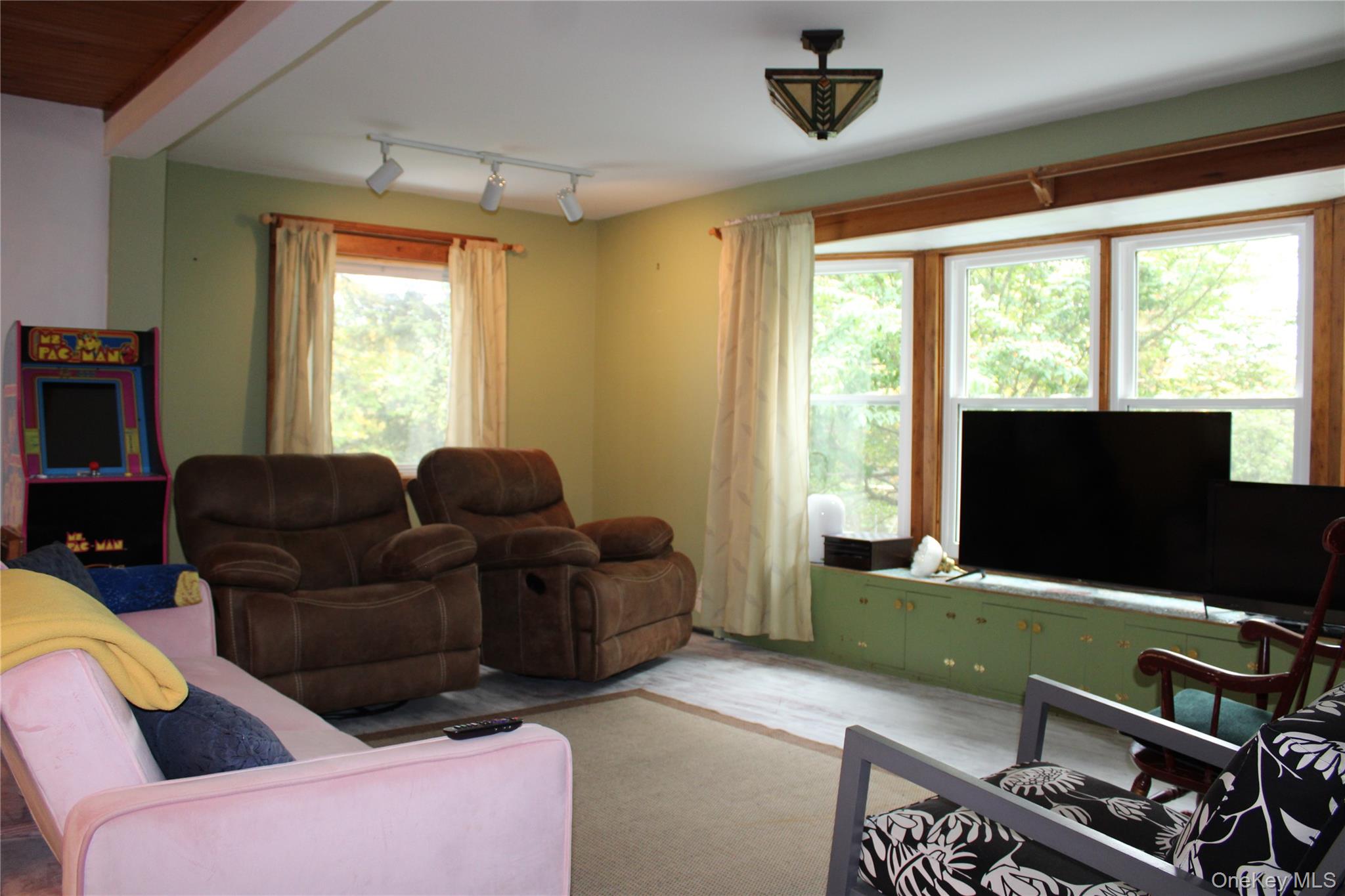 446 Shandelee Road Livingston Manor, NY 12758 - Photo 15 of 32 a living room with furniture and a flat screen tv