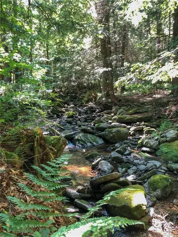 $649,900 | 446 Shandelee Road, Livingston Manor, NY 12758