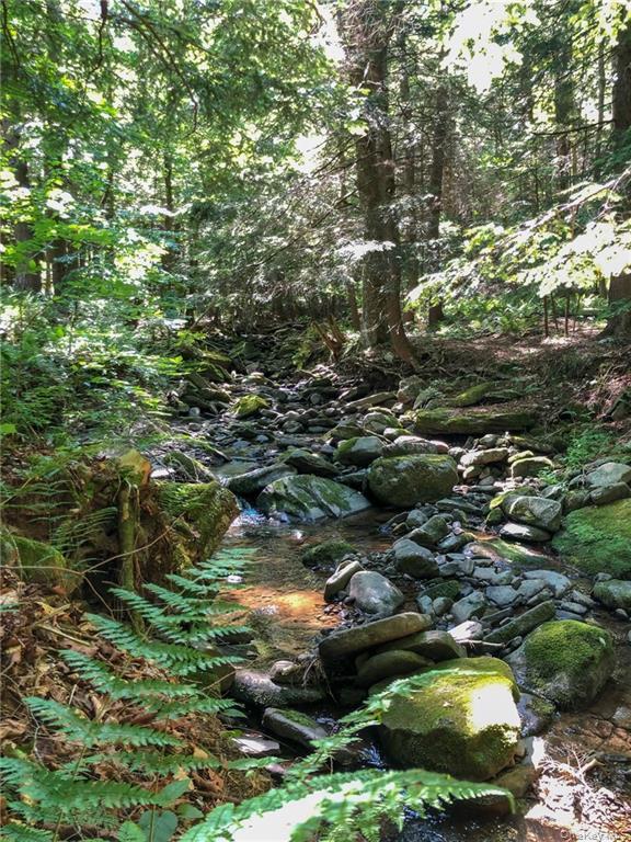 446 Shandelee Road Livingston Manor, NY 12758 - Photo 7 of 32 a view of outdoor space and a lake view