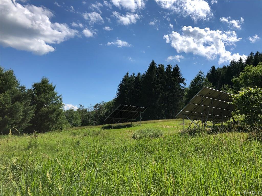 446 Shandelee Road Livingston Manor, NY 12758 - Photo 8 of 33 2 Solar Panels in an open field front yard
