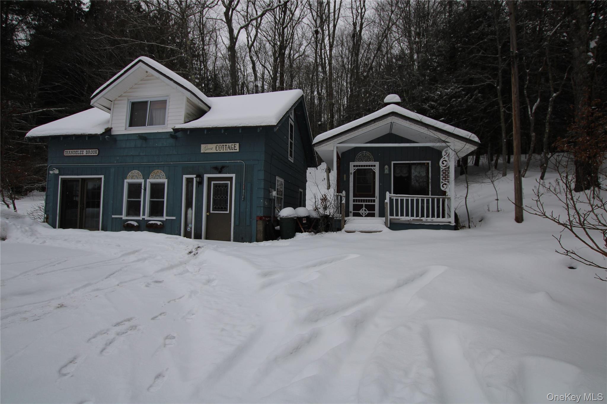 446 Shandelee Road Livingston Manor, NY 12758 - Photo 10 of 33