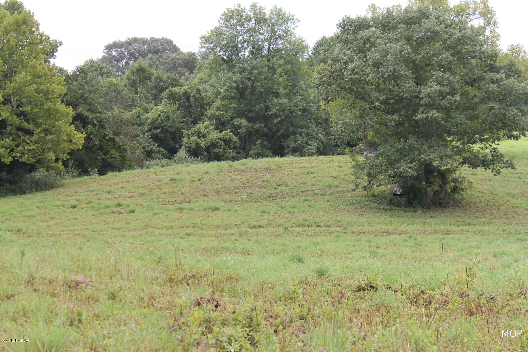 1000 Figett Bend Road Canmer, KY 42722 - Photo 60 of 61 IMG_2327