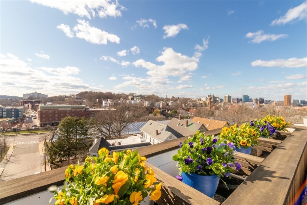 78 Fort Avenue, Unit 78 Boston, MA 02119 - Photo 21 of 26