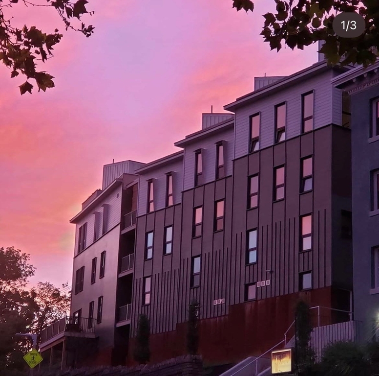 78 Fort Avenue, Unit 78 Boston, MA 02119 - Photo 24 of 26