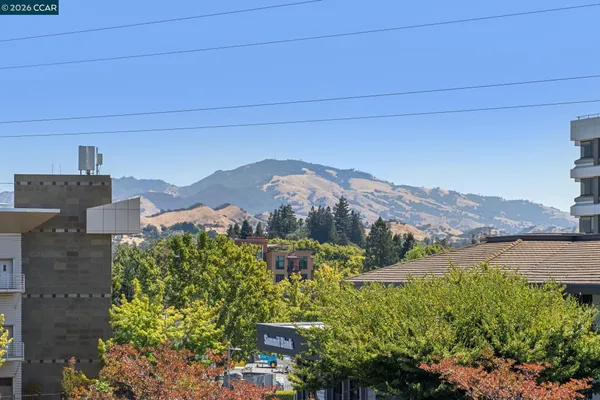 a view of a city with a mountain