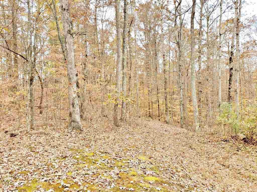 286 Suddath Road Ten Mile, TN 37880 - Photo 29 of 36 Gallery Image 29