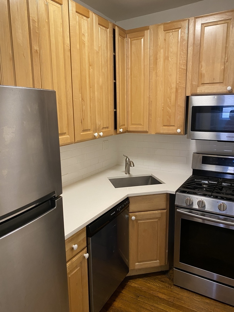 511 West Deming Place, Unit 1N Chicago, IL 60614 - Photo 3 of 8