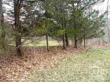 622 Bean River Road Ancramdale, NY 12503 - Photo 2 of 7 a view of a yard with plants and trees
