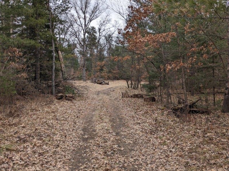 V/l Rollway Road South Branch, MI 48761 - Photo 2 of 6