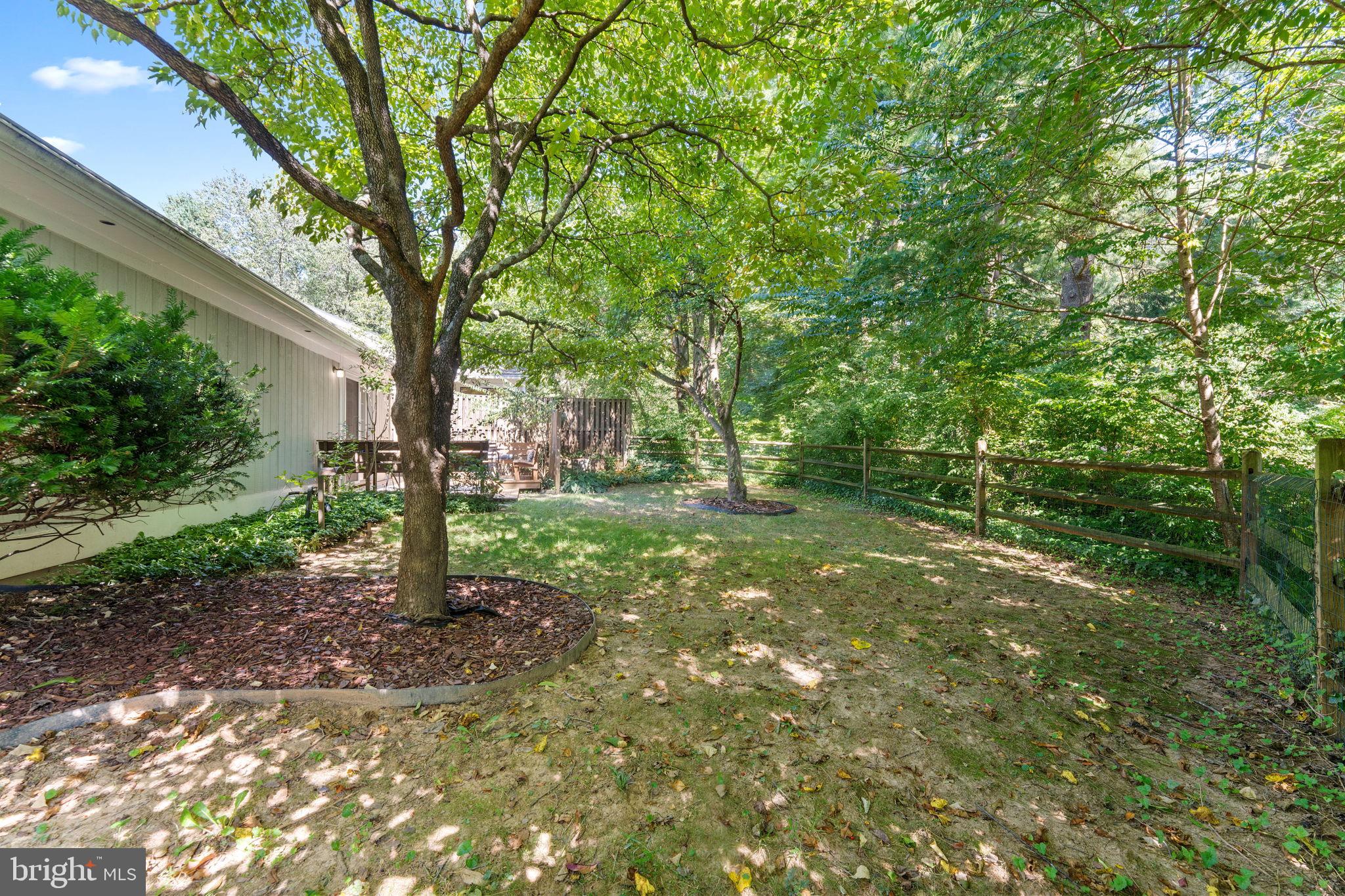 11401 Turnmill Lane Reston, VA 20191 - Photo 14 of 81 a view of a tree in the middle of a forest