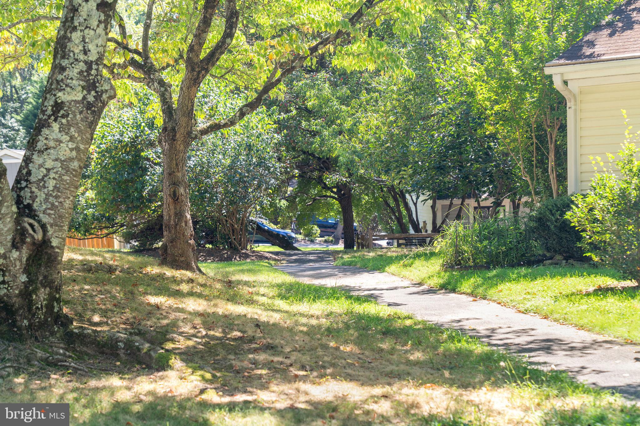 11401 Turnmill Lane Reston, VA 20191 - Photo 45 of 81 a view of a yard with a tree
