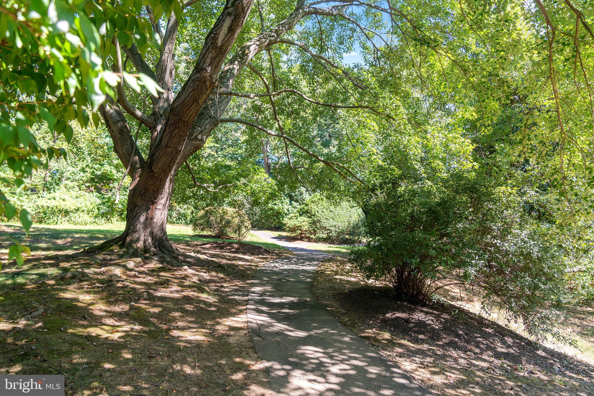 11401 Turnmill Lane Reston, VA 20191 - Photo 46 of 81 a view of outdoor space and yard