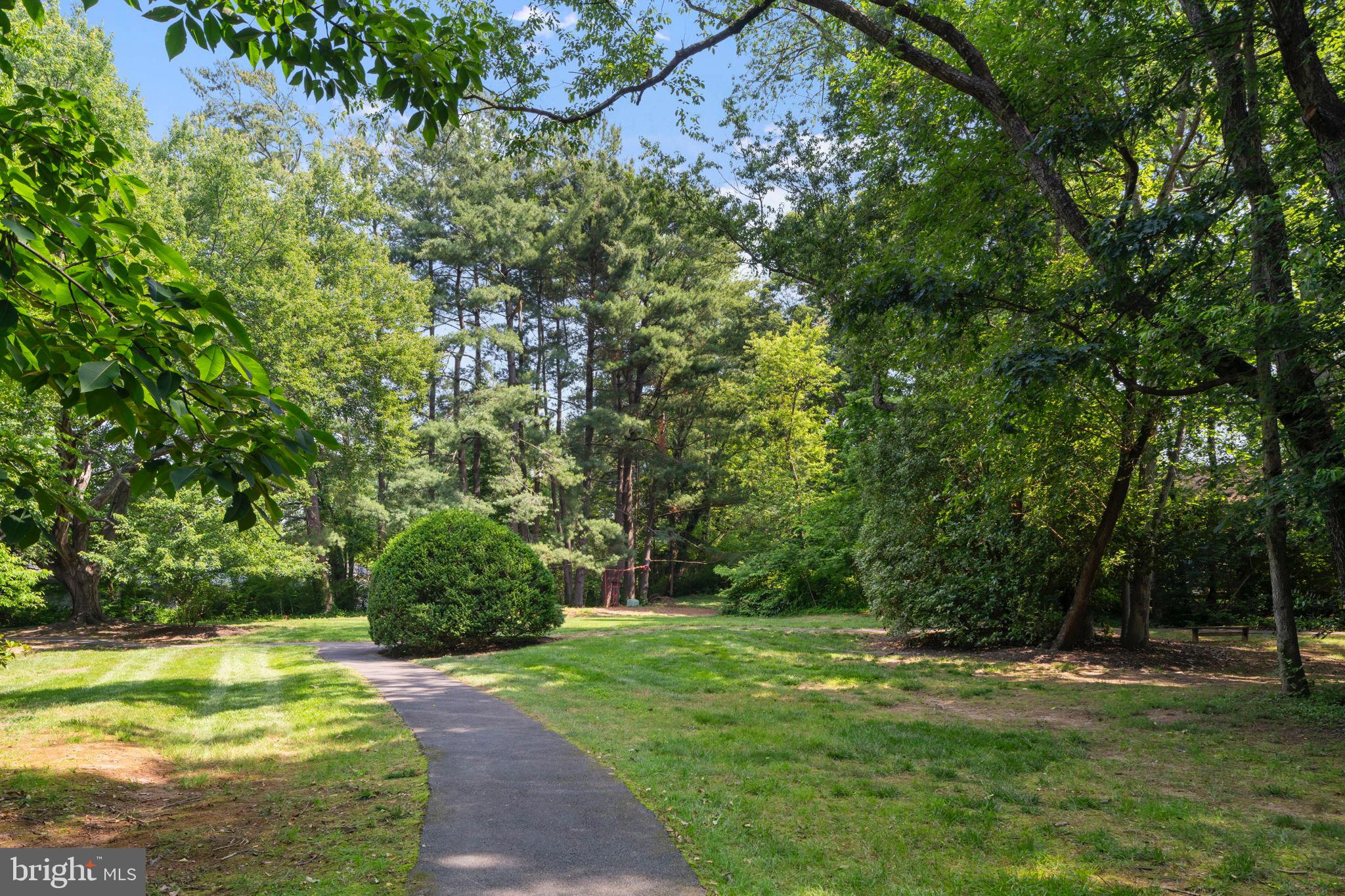 11401 Turnmill Lane Reston, VA 20191 - Photo 48 of 81 a view of a yard with a tree