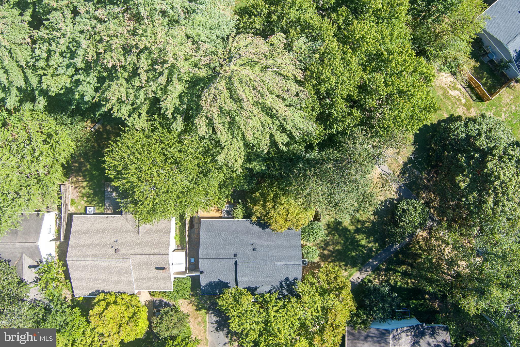 11401 Turnmill Lane Reston, VA 20191 - Photo 49 of 81 Lush greenery surrounds cozy homes below.