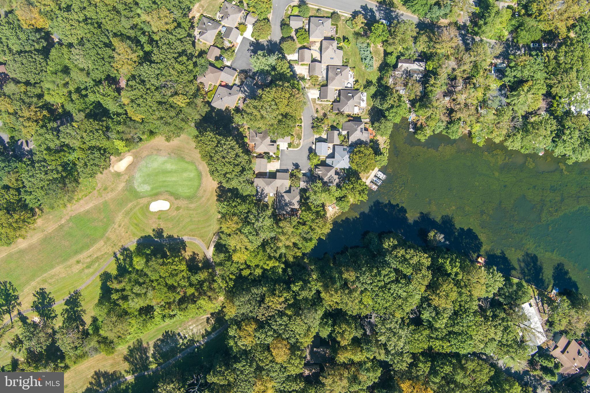 11401 Turnmill Lane Reston, VA 20191 - Photo 51 of 81 a view of a garden