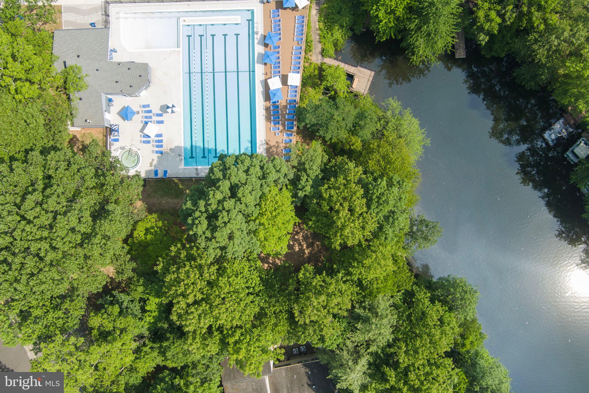 11401 Turnmill Lane Reston, VA 20191 - Photo 54 of 81 an aerial view of a house with plants and large trees