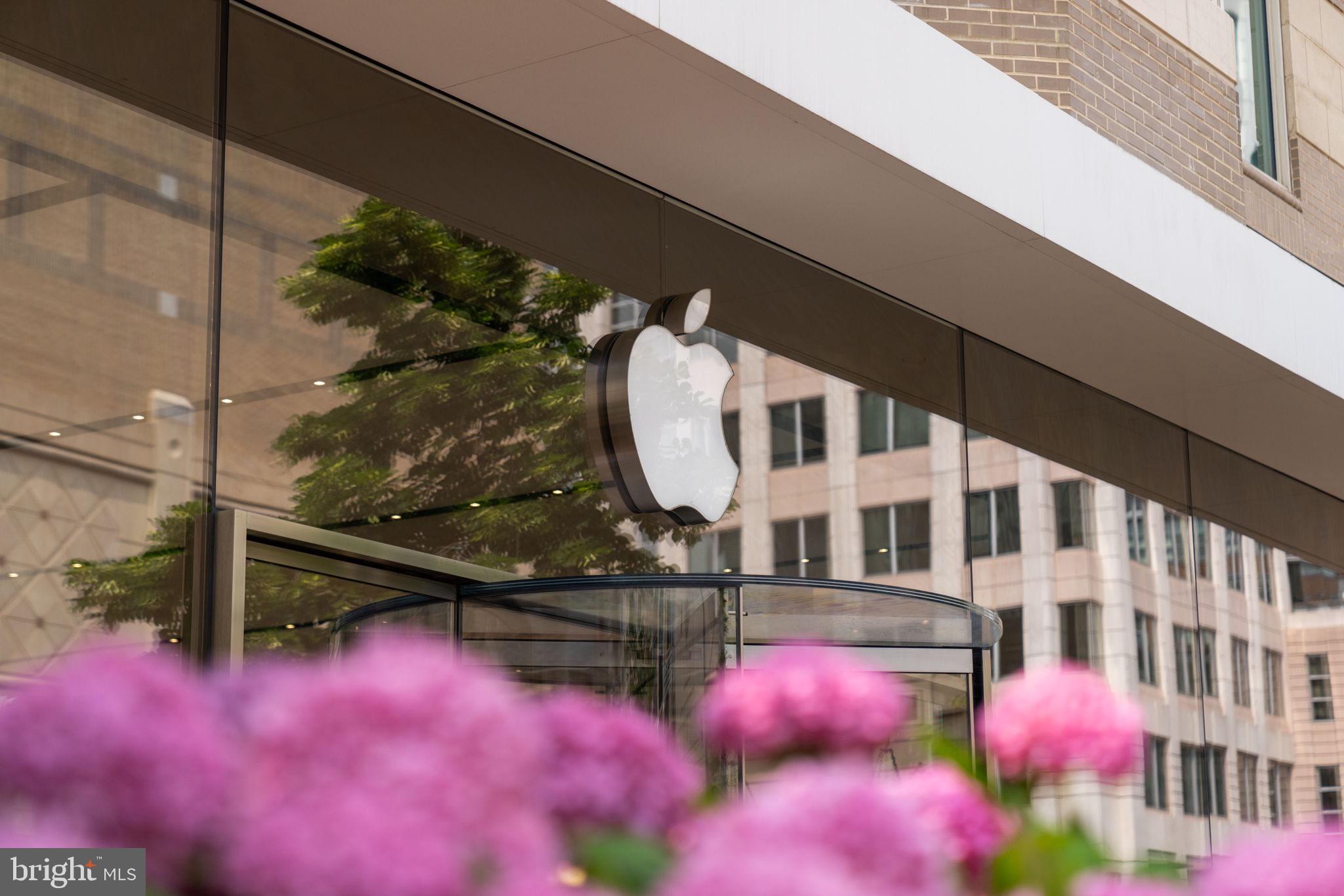 11401 Turnmill Lane Reston, VA 20191 - Photo 73 of 81 Apple Store entrance framed by blooming flowers.