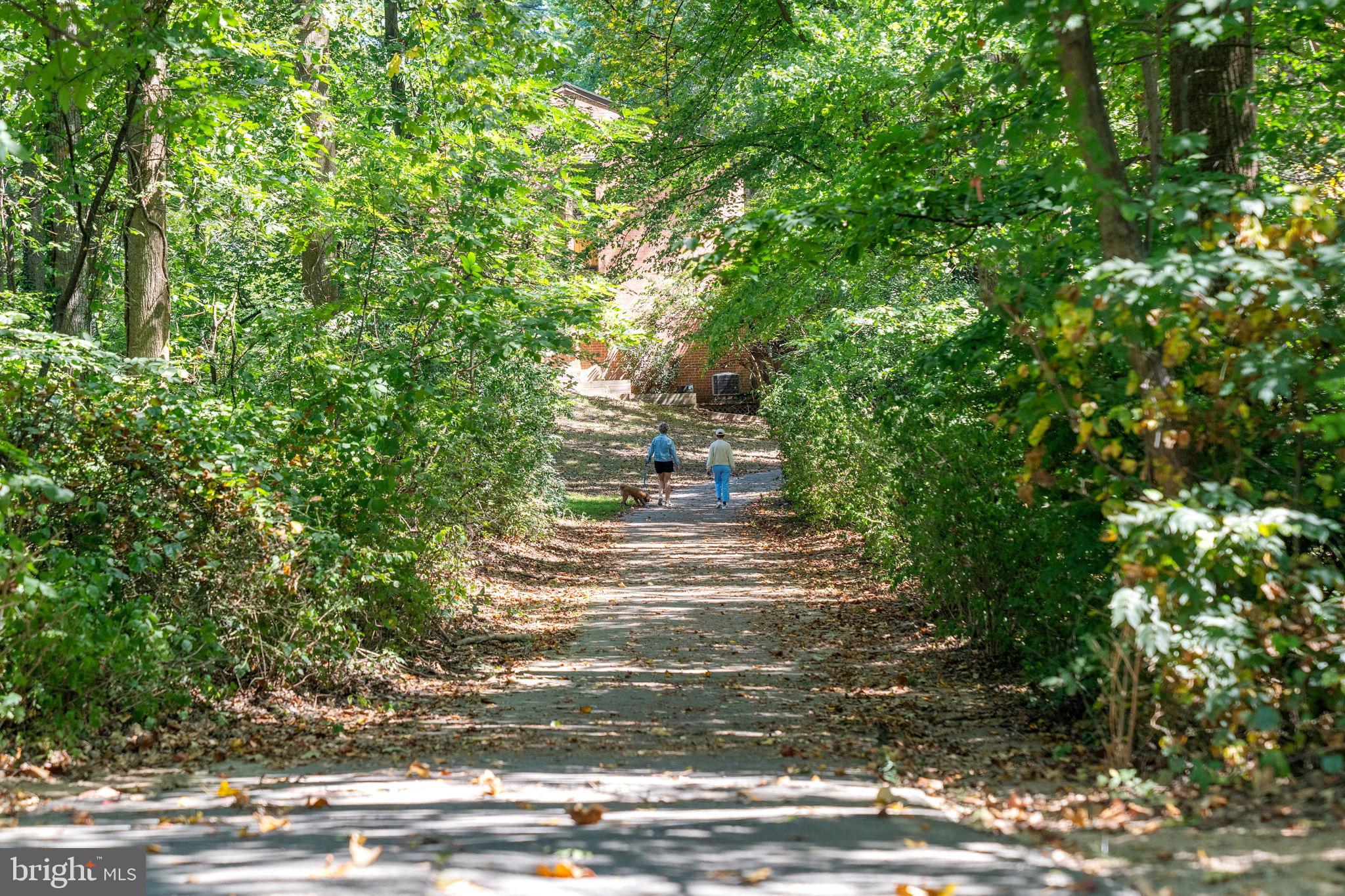 11401 Turnmill Lane Reston, VA 20191 - Photo 76 of 81 a view of a yard with large trees