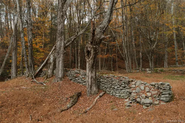 a view of a wooden house with a yard