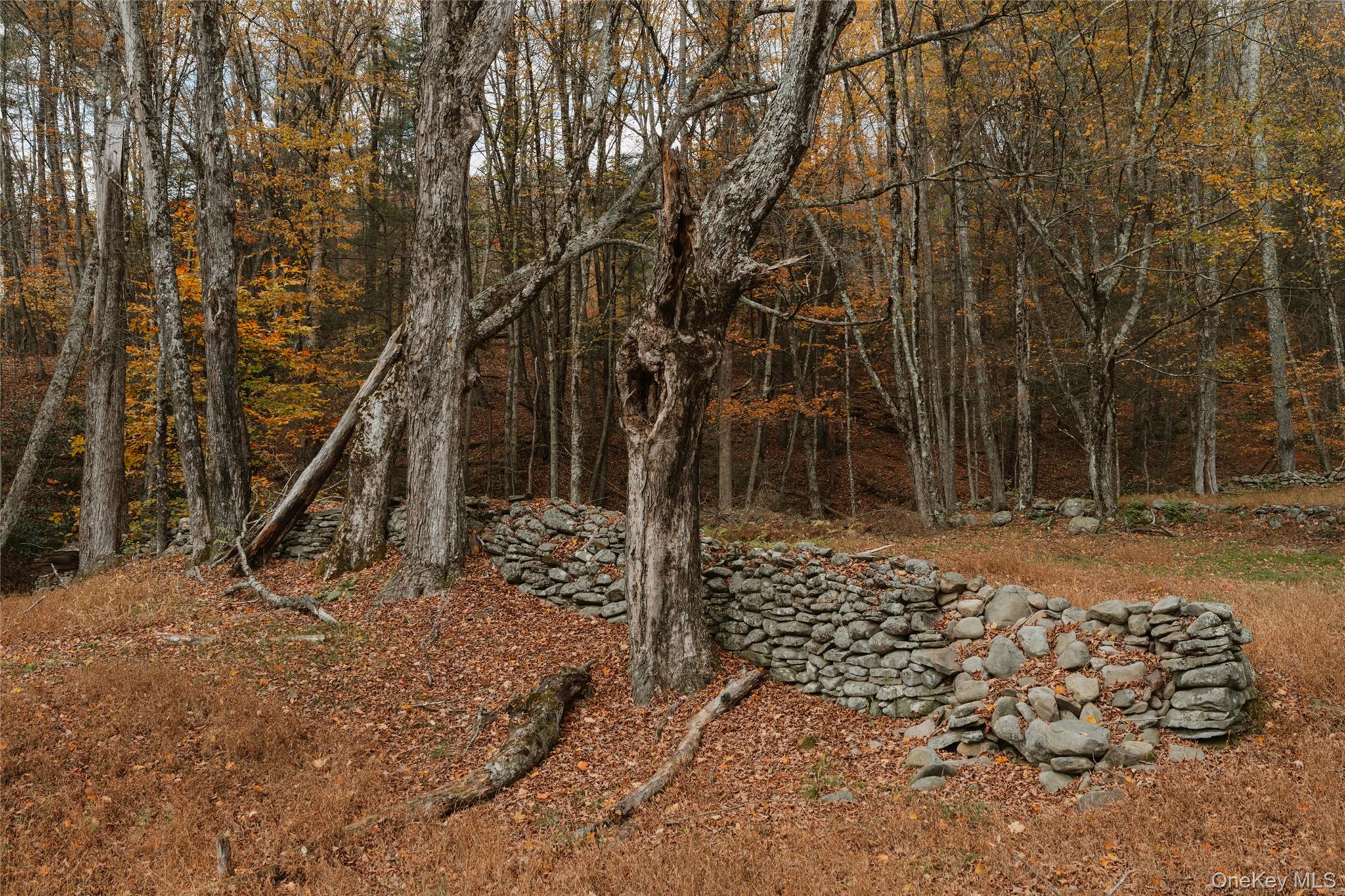 7775 State Rte 55 Neversink, NY 12765 - Photo 35 of 46 a view of a wooden house with a yard