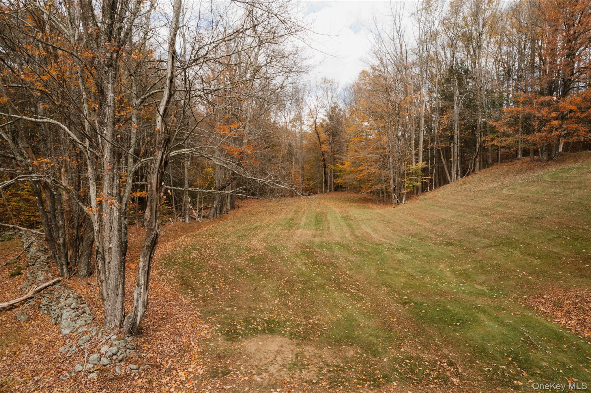 7775 State Rte 55 Neversink, NY 12765 - Photo 37 of 46 a view of a yard with trees