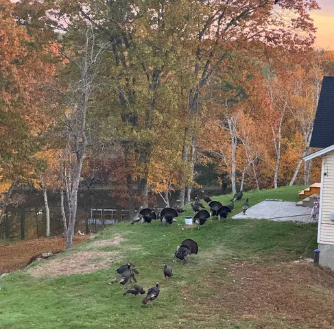 $3,400 | 17 Great Cove Drive, Newmarket, NH 03857