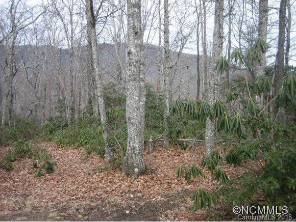 4 Rush Ridge Trail, Unit 507 Black Mountain, NC 28711 - Photo 14 of 14