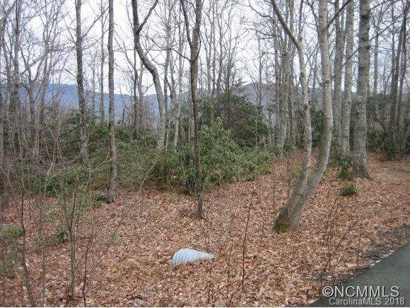 4 Rush Ridge Trail, Unit 507 Black Mountain, NC 28711 - Photo 3 of 14