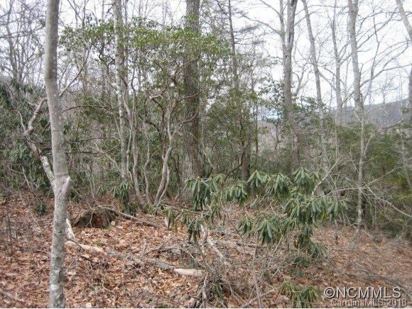 4 Rush Ridge Trail, Unit 507 Black Mountain, NC 28711 - Photo 4 of 14