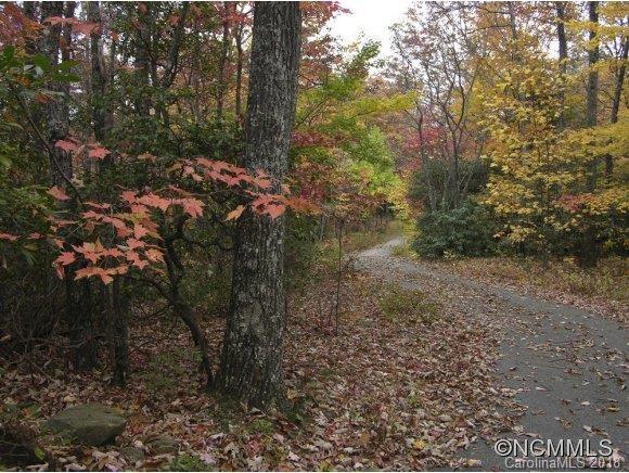 4 Rush Ridge Trail, Unit 507 Black Mountain, NC 28711 - Photo 5 of 14