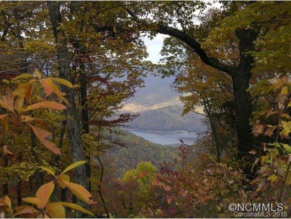 4 Rush Ridge Trail, Unit 507 Black Mountain, NC 28711 - Photo 6 of 14
