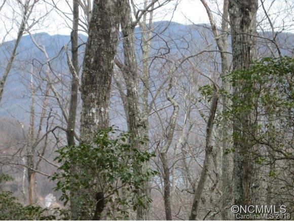 4 Rush Ridge Trail, Unit 507 Black Mountain, NC 28711 - Photo 8 of 14