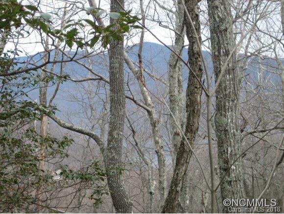 4 Rush Ridge Trail, Unit 507 Black Mountain, NC 28711 - Photo 9 of 14