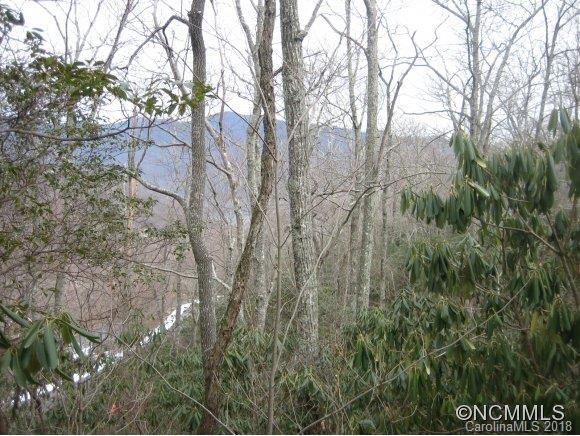 4 Rush Ridge Trail, Unit 507 Black Mountain, NC 28711 - Photo 10 of 14