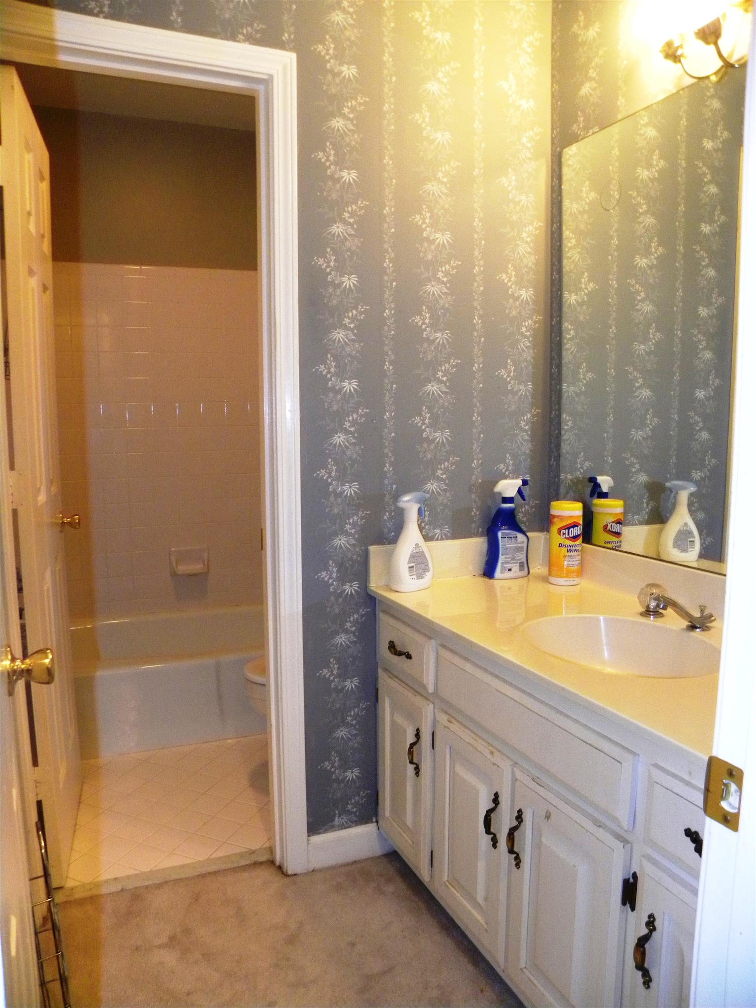 745 General George Patton Road Nashville, TN 37221 - Photo 12 of 12 a bathroom with a tub sink and mirror