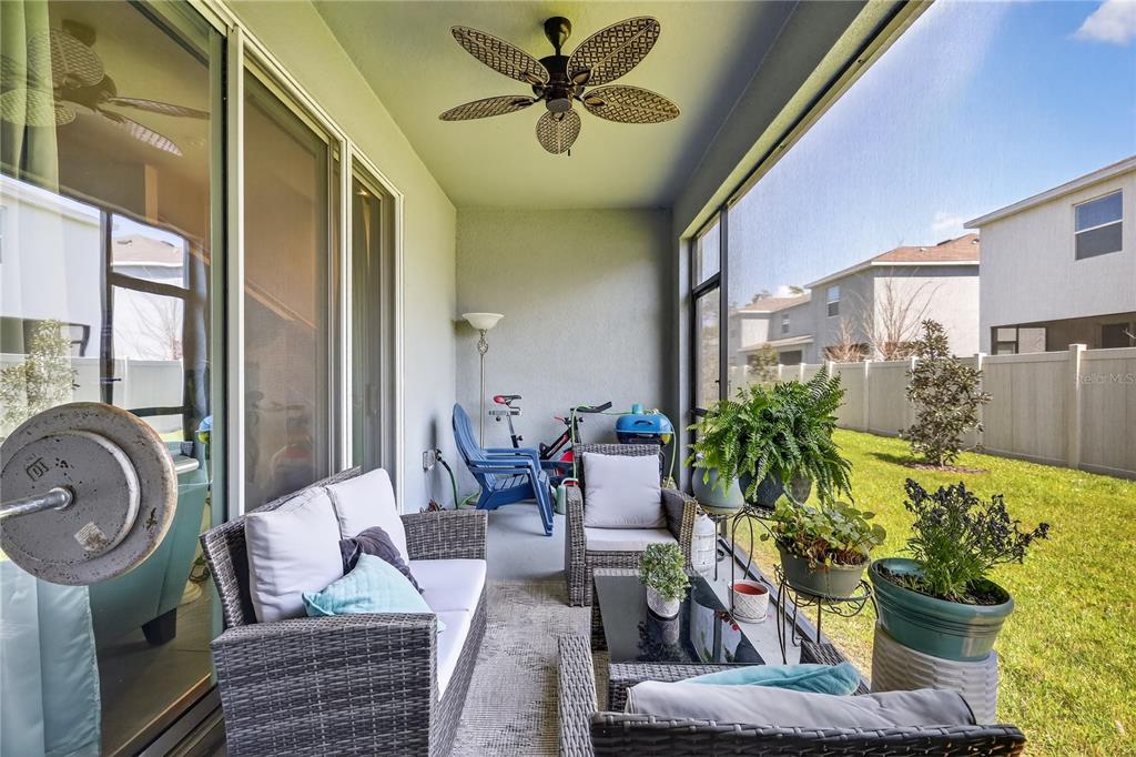16632 Grotto Steam Place Wimauma, FL 33598 - Photo 33 of 42 a living room with furniture and a potted plant