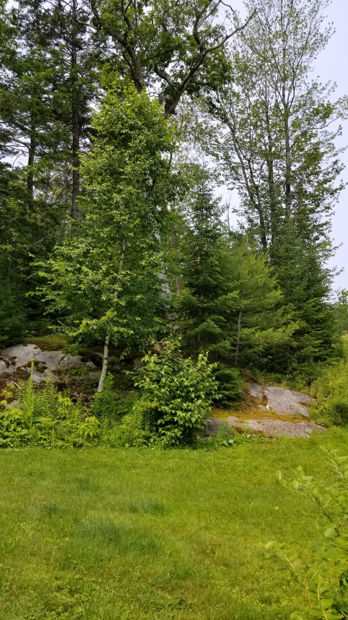 27 Beaver Brook Road West Bath, ME 04530 - Photo 9 of 39 Private Scenic Front Yard