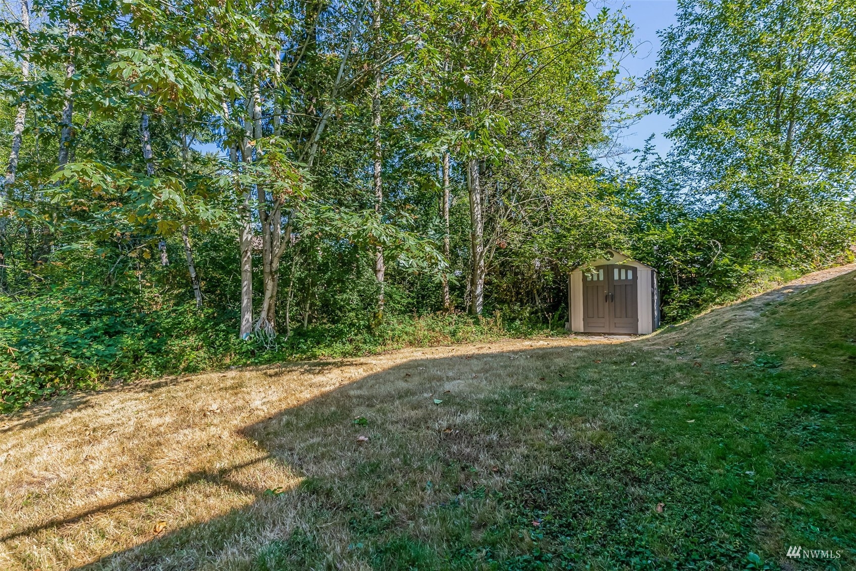 22110 14th Avenue West Bothell, WA 98021 - Photo 37 of 40 a view of a backyard with large trees