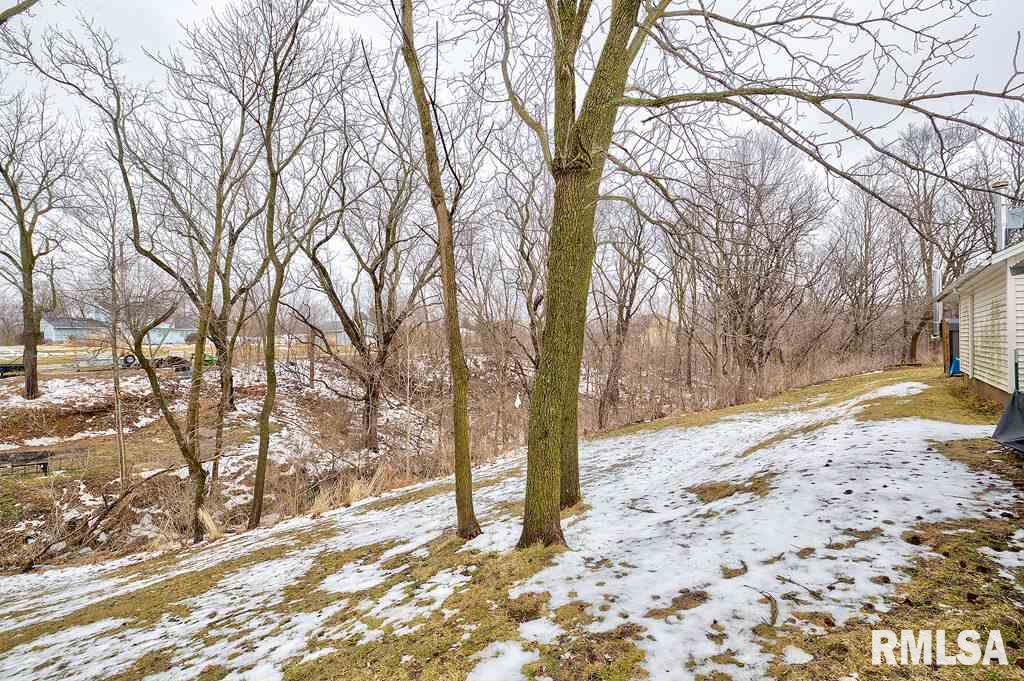 9216 140th Street West Taylor Ridge, IL 61284 - Photo 7 of 24