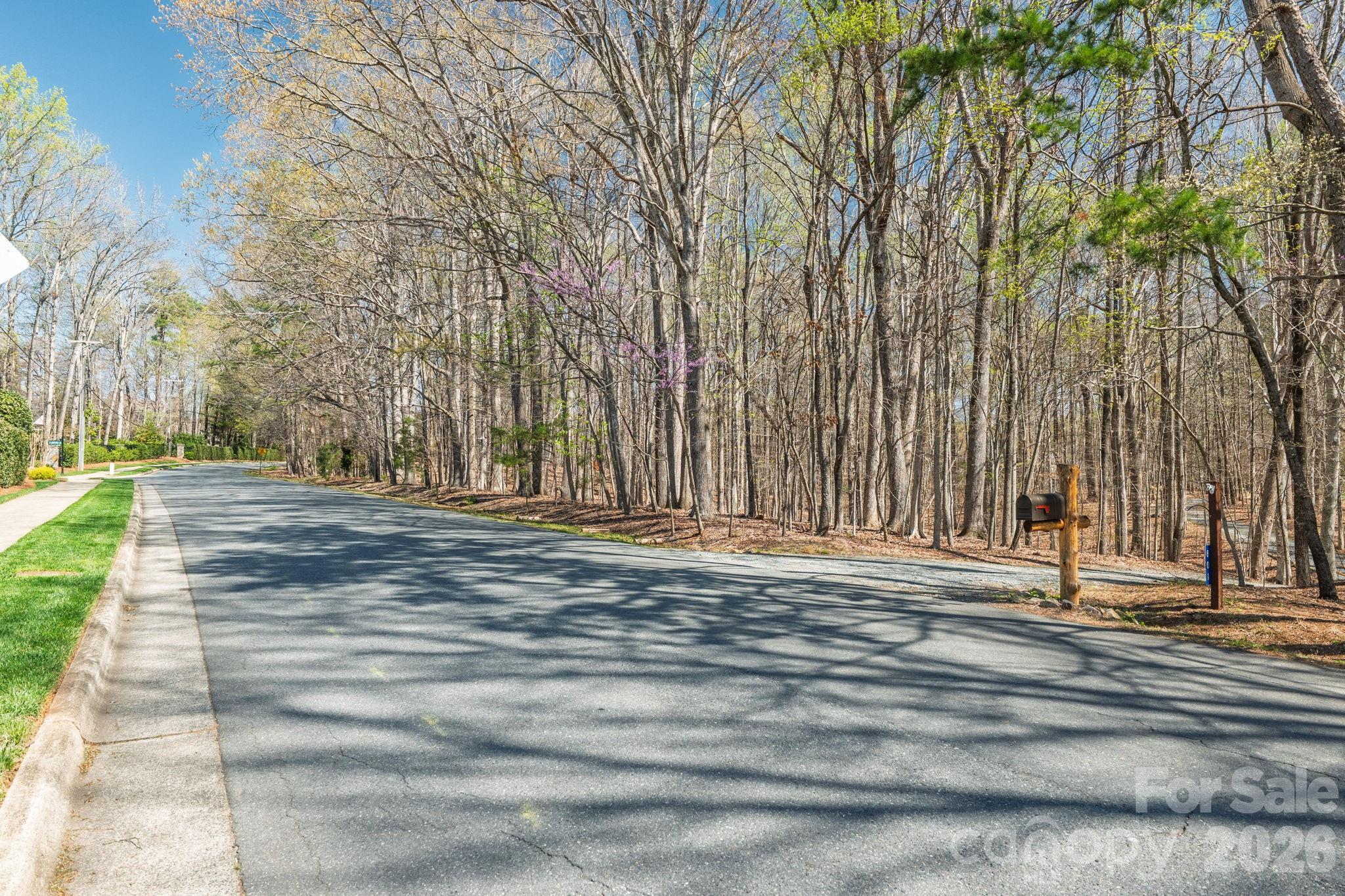 801 Reverdy Lane Matthews, NC 28105 - Photo 4 of 21