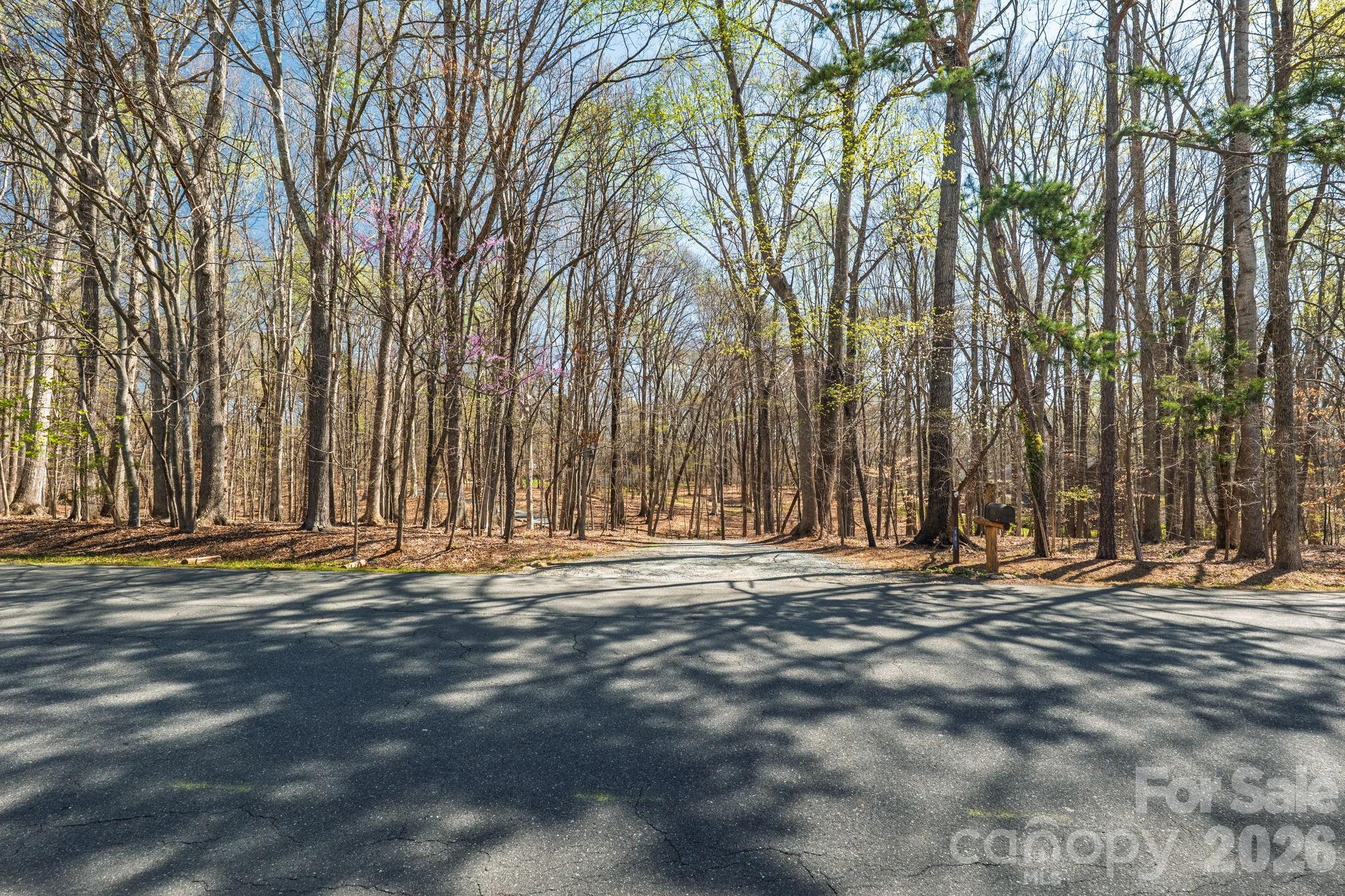 801 Reverdy Lane Matthews, NC 28105 - Photo 6 of 21