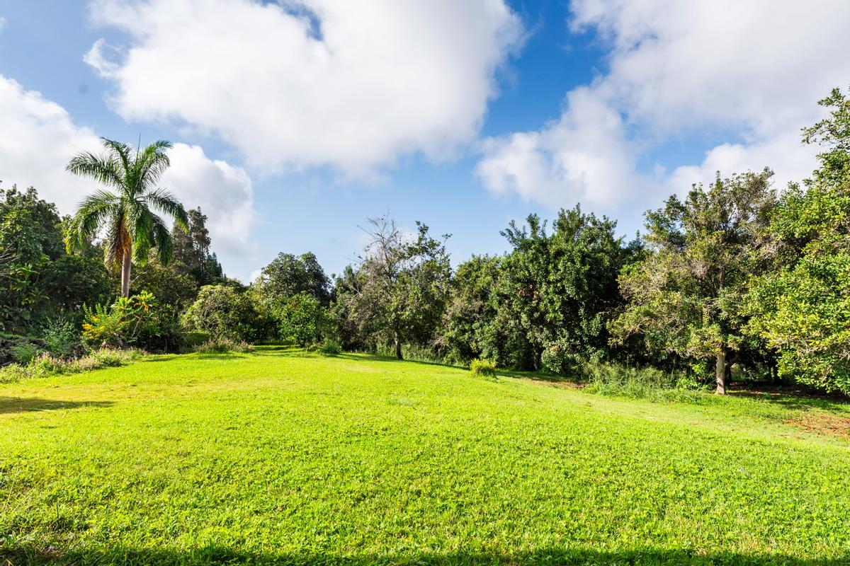 88-2497 Milolii Road Captain Cook, HI 96704 - Photo 19 of 30 a view of a yard with a fountain