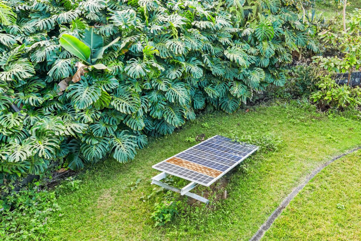 88-2497 Milolii Road Captain Cook, HI 96704 - Photo 23 of 30 a view of a bench in the garden