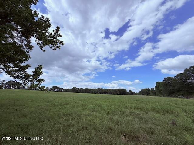 37 Fortenberry Road Tylertown, MS 39667 - Photo 60 of 83 IMG_3693 - Copy