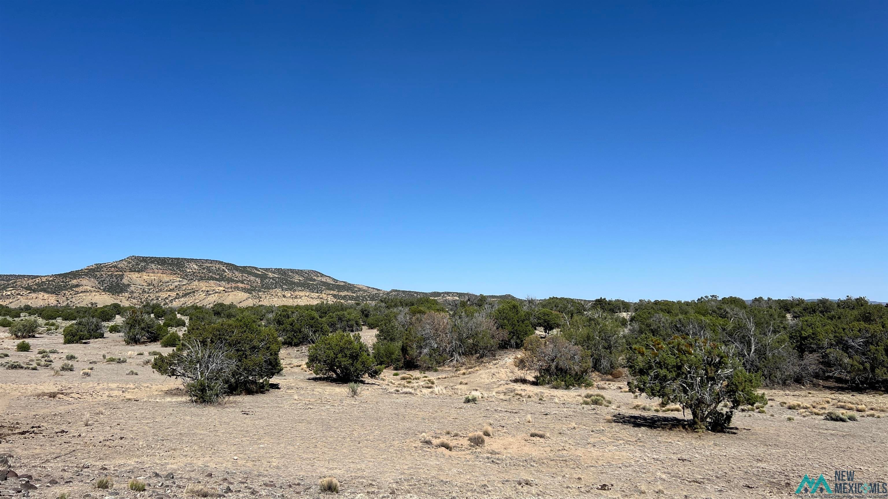 31 Henderson Road Quemado, NM 87829 - Photo 21 of 35