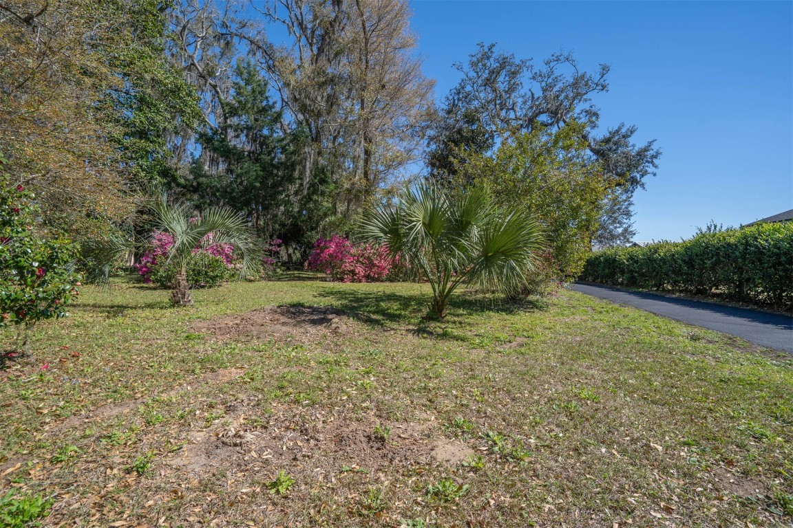 97578 Pirates Point Road Yulee, FL 32097 - Photo 40 of 64 a view of a backyard