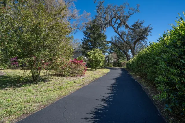 a view of a fire pit with large trees