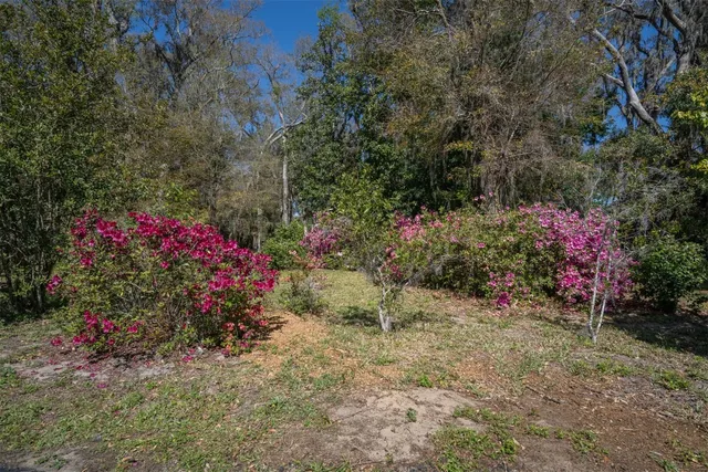 a view of a lake and a yard
